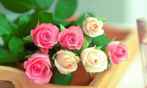 如何成功追到心仪的人？追爱过程中常见的问题有哪些？  第3张