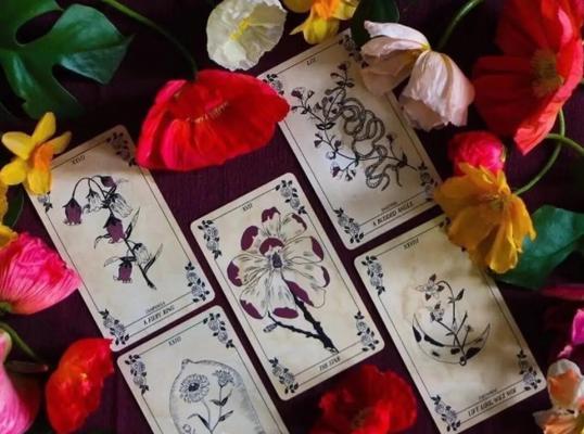 爱情塔罗牌的摆阵如何进行？摆阵过程中常见的问题有哪些？  第1张