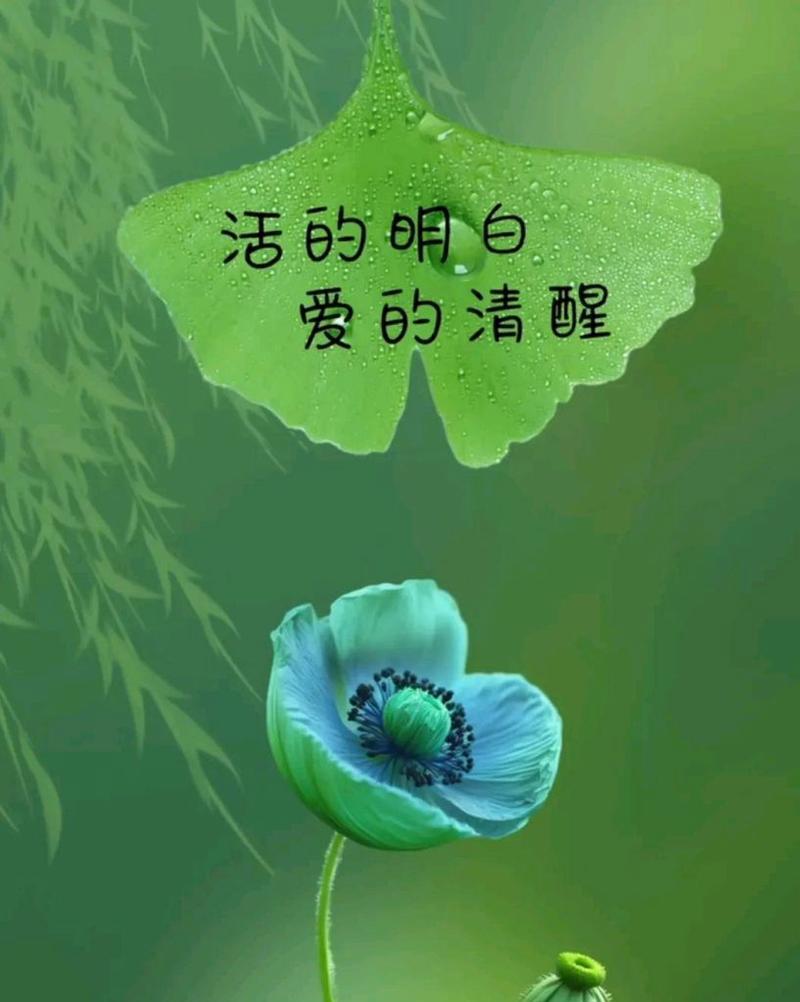 感情最高境界叫心疼？如何理解心疼在情感中的作用？  第1张