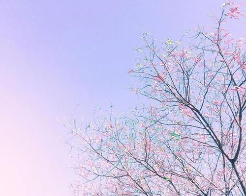 感情最高境界叫心疼？如何理解心疼在情感中的作用？  第3张