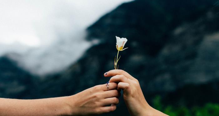 订婚后后悔了怎么办？情感维系的正确打开方式是什么？  第2张