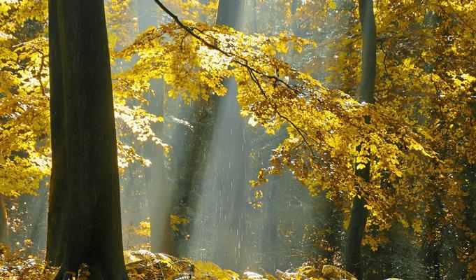 被情所困怎么办？如何面对感情问题并走出情关？  第1张