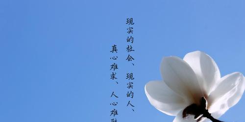 如何挽回朋友心凉的情感?有效沟通和行动的策略是什么? 第2张 如何挽回朋友心凉的情感?有效沟通和行动的策略是什么? 第2张