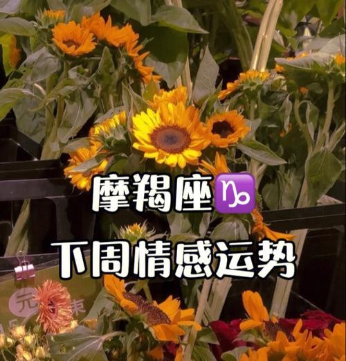 挽回摩羯座的最有效话语方法是什么？如何用话语打动摩羯座的心？  第1张