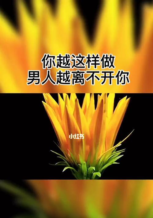 分手后如何让对方不再尝试挽回？有效沟通的技巧是什么？  第2张