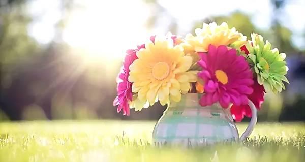 狮子放下自尊挽回金牛的策略是什么？挽回过程中应注意哪些问题？  第2张