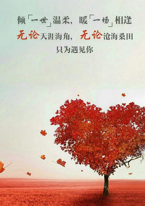 如何测试你是否错过了极品好男生（揭秘男人的内心世界）  第1张