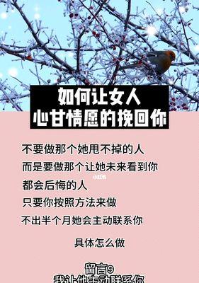 男人卑微，如何挽回女人心（学会自我反省和诚恳表白是关键）  第3张