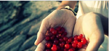 如何以高姿态挽回以巨蟹老公要离婚的局面(建立情感信任) 第2张 如何以高姿态挽回以巨蟹老公要离婚的局面(建立情感信任) 第2张