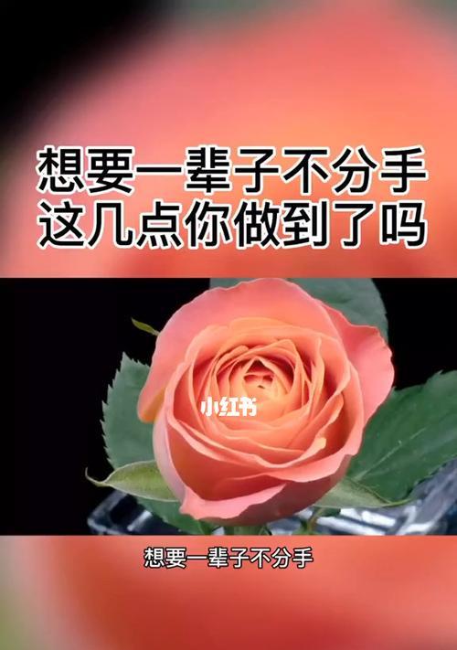 情侣威胁分手，如何挽回关系（情感危机）  第1张