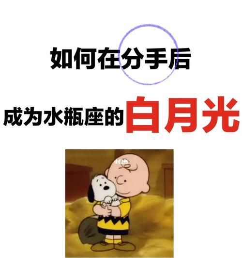 如何挽回水瓶男（水瓶男的特点和挽回策略）  第1张