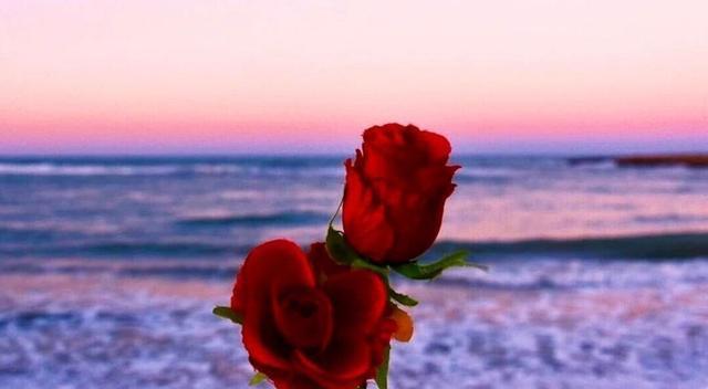 如何用深奥句子表达对某人的思念？暗示思念的句子有哪些特点？  第2张