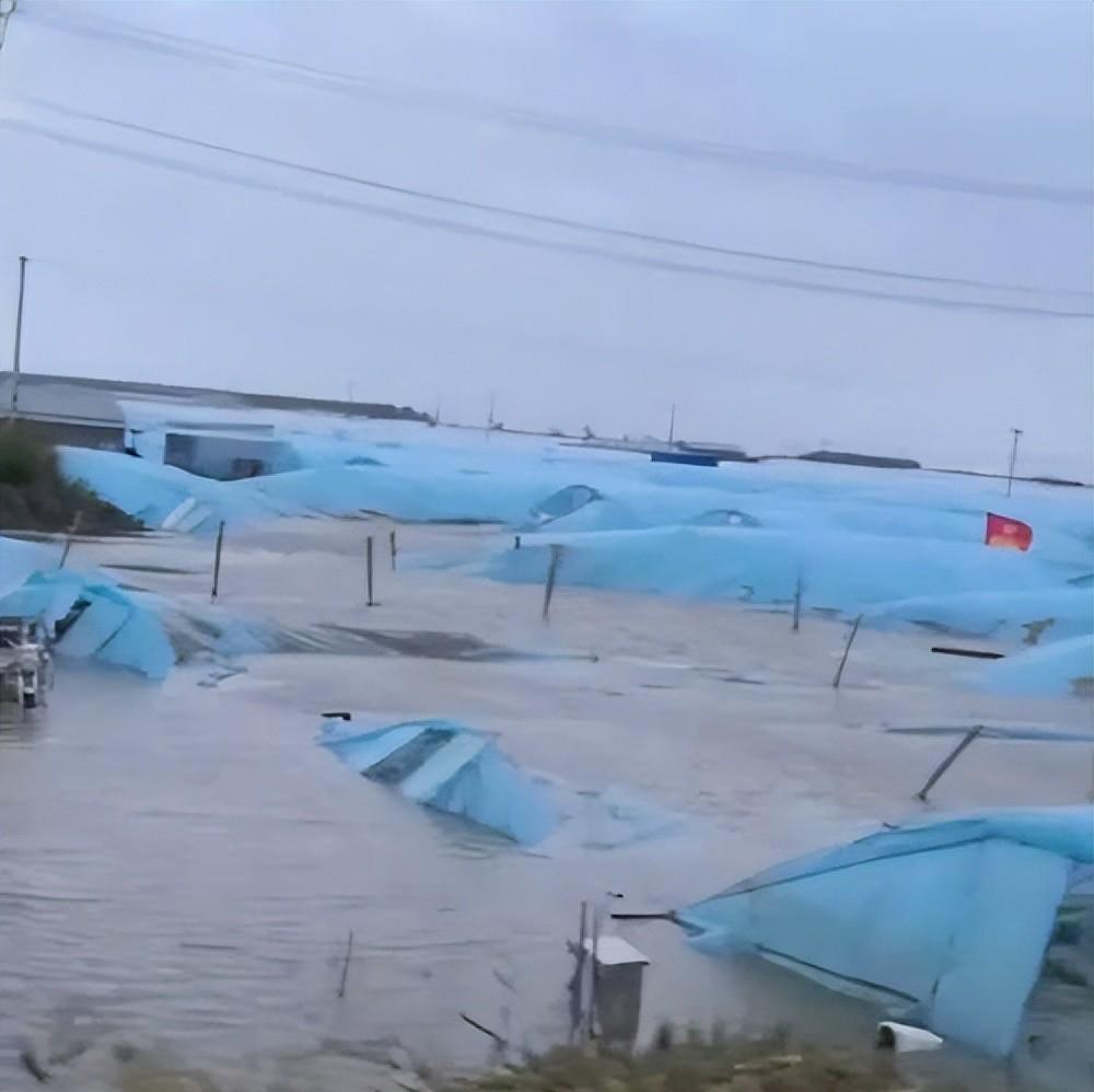 气候大局定了：如果不出意外的话，2026年中国极端天气迎3大变化  第13张